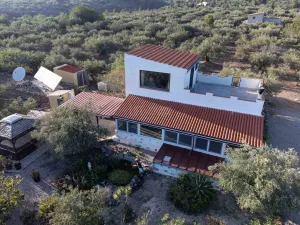Finca Tad