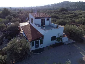 Finca Tad