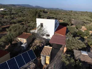 Finca Tad