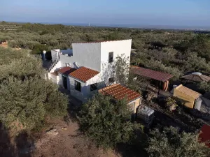 Finca Tad