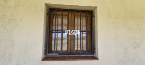 Imagen 9