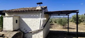 Finca Planesita
