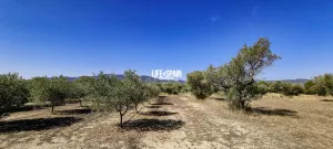 Finca Planesita