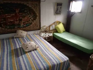 Imagen 13