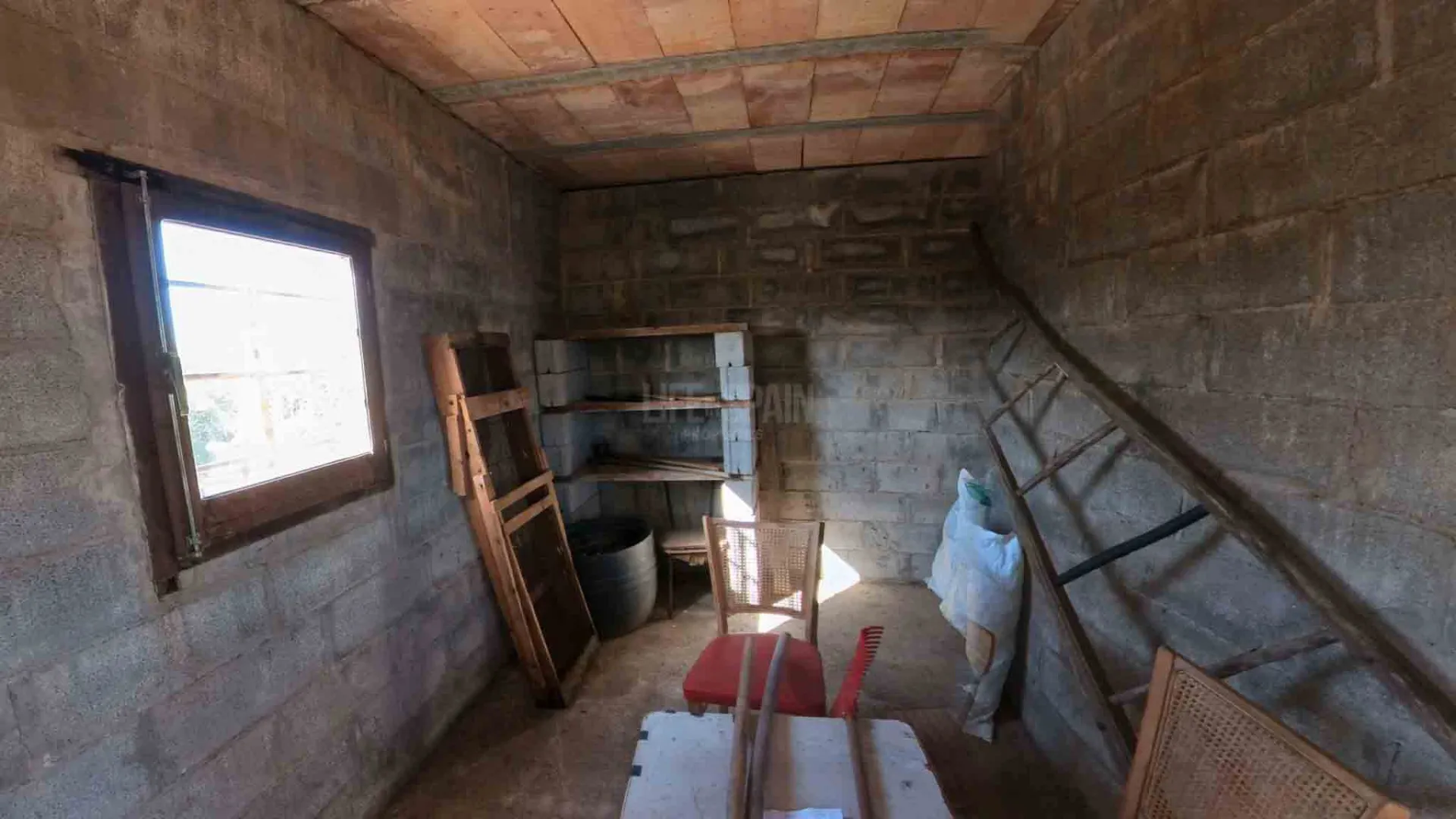 Image 12