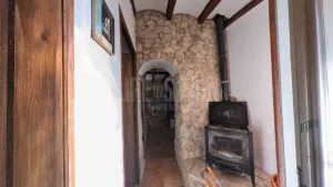 Imagen 29