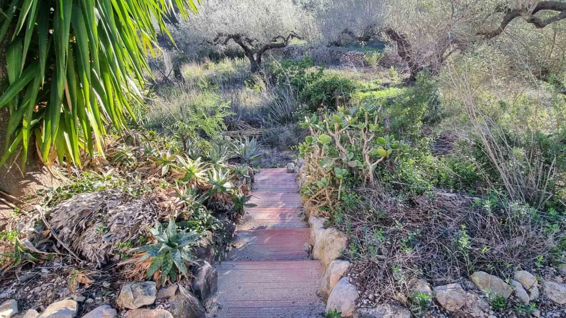 Image 61
