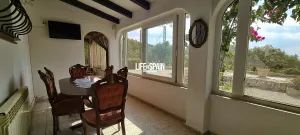 Imagen 15