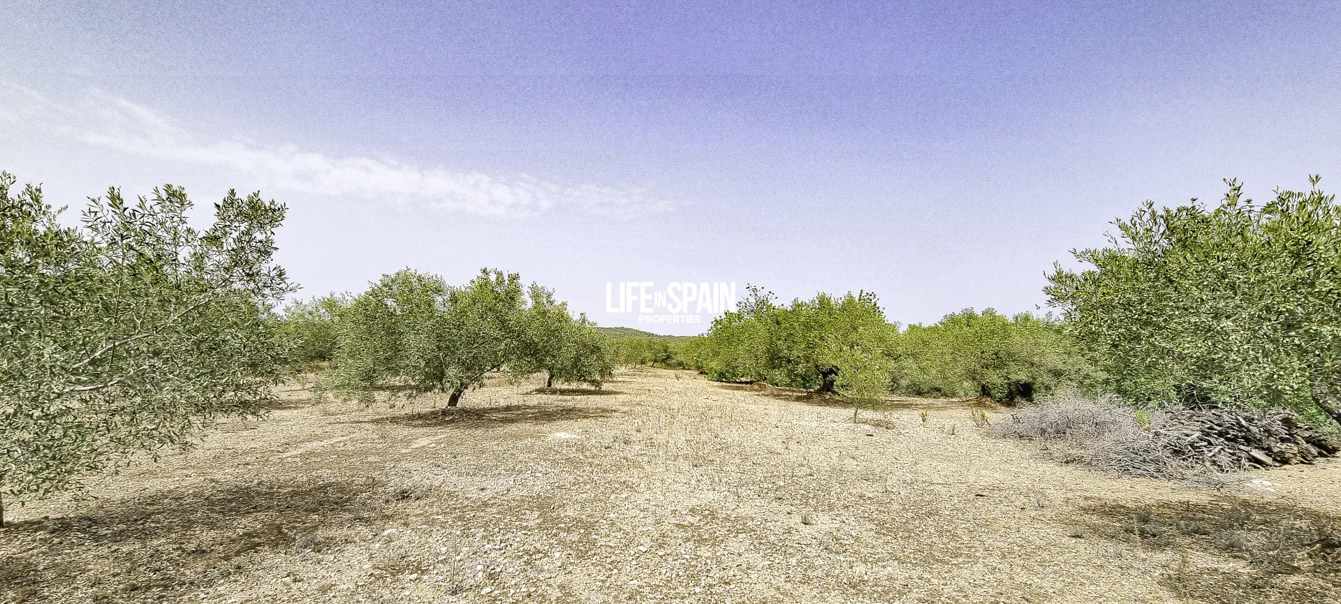 Image 10
