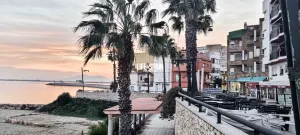 Imagen 19