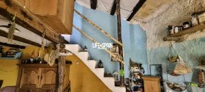 Imagen 11
