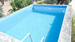Imagen 41