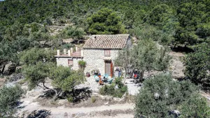 Imagen de portada