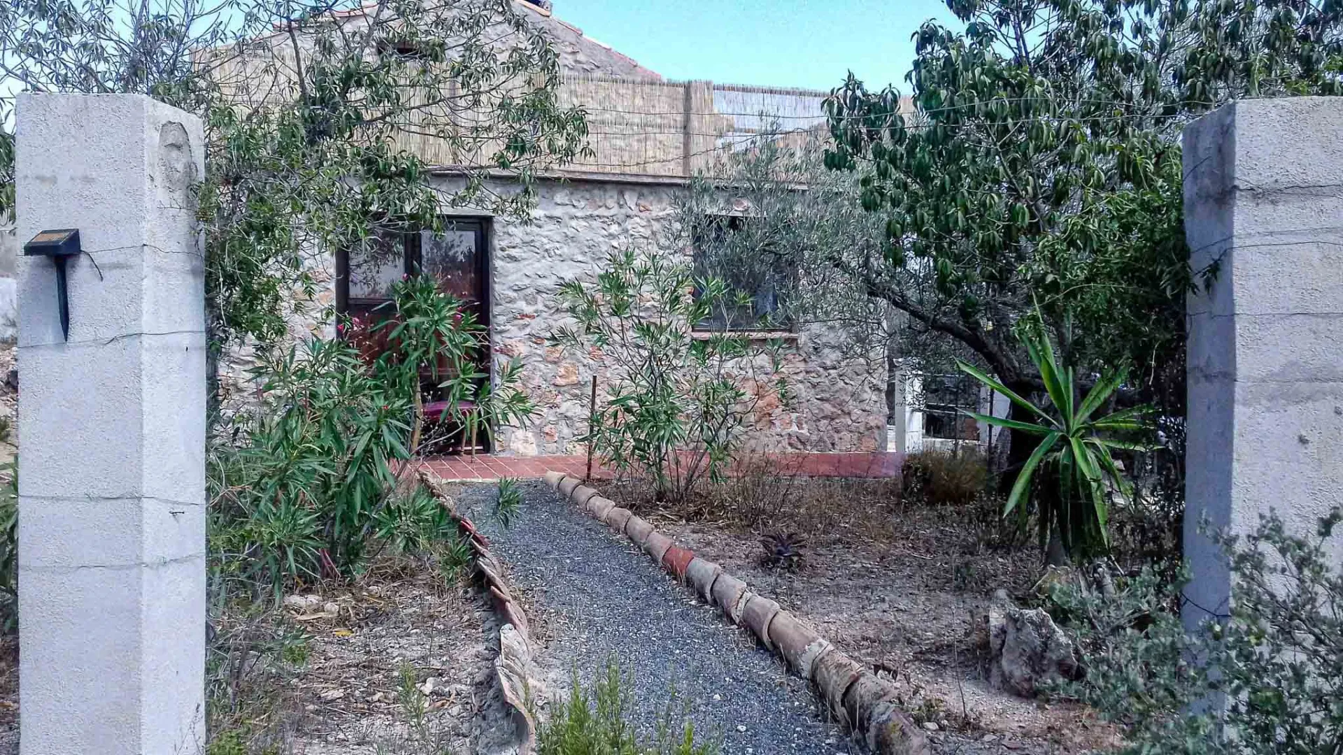 Image 6