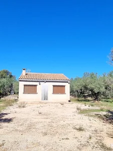 Mediterranea