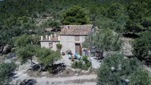 Imagen 19