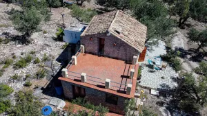 Imagen 27