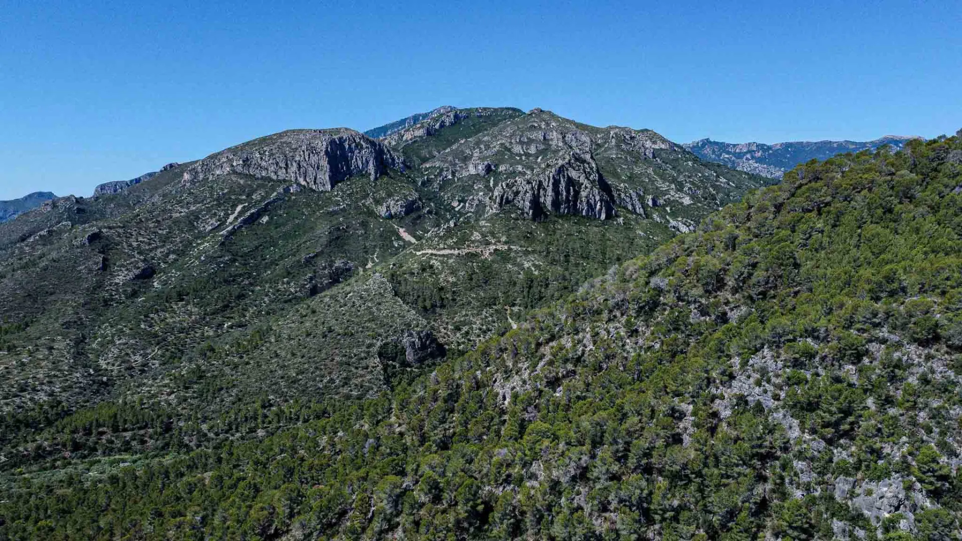 Image 61
