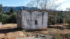 Finca Masets