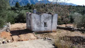 Finca Masets