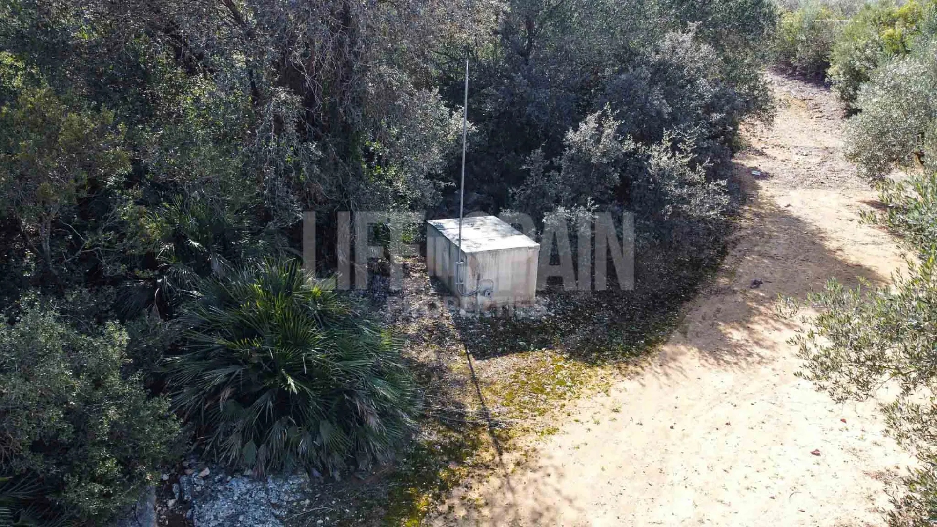 Image 6
