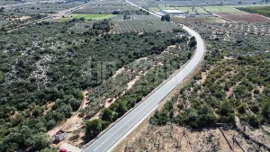 Finca Masets