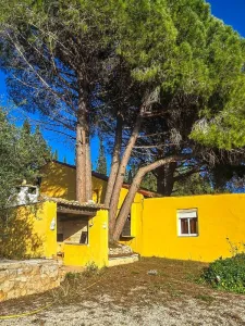 Del Castillo