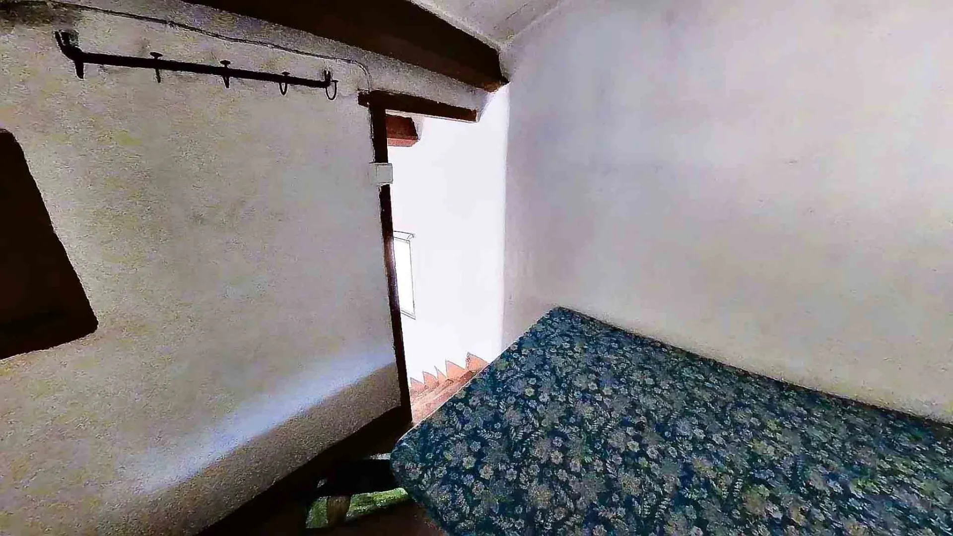 Image 15