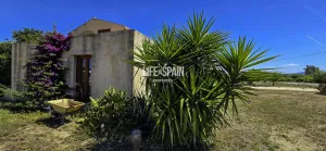 Imagen 21