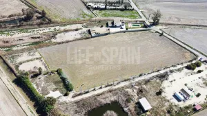 Finca Delta