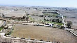 Finca Delta