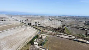 Finca Delta