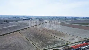 Finca Delta