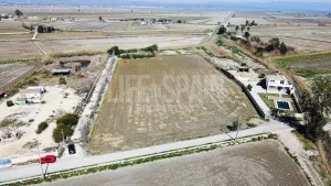 Finca Delta