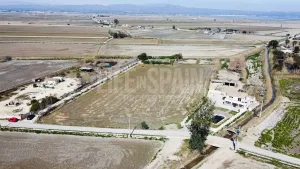 Finca Delta