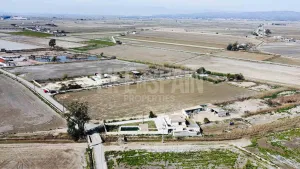 Finca Delta