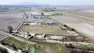 Finca Delta