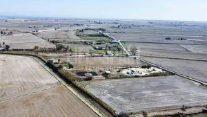 Finca Delta